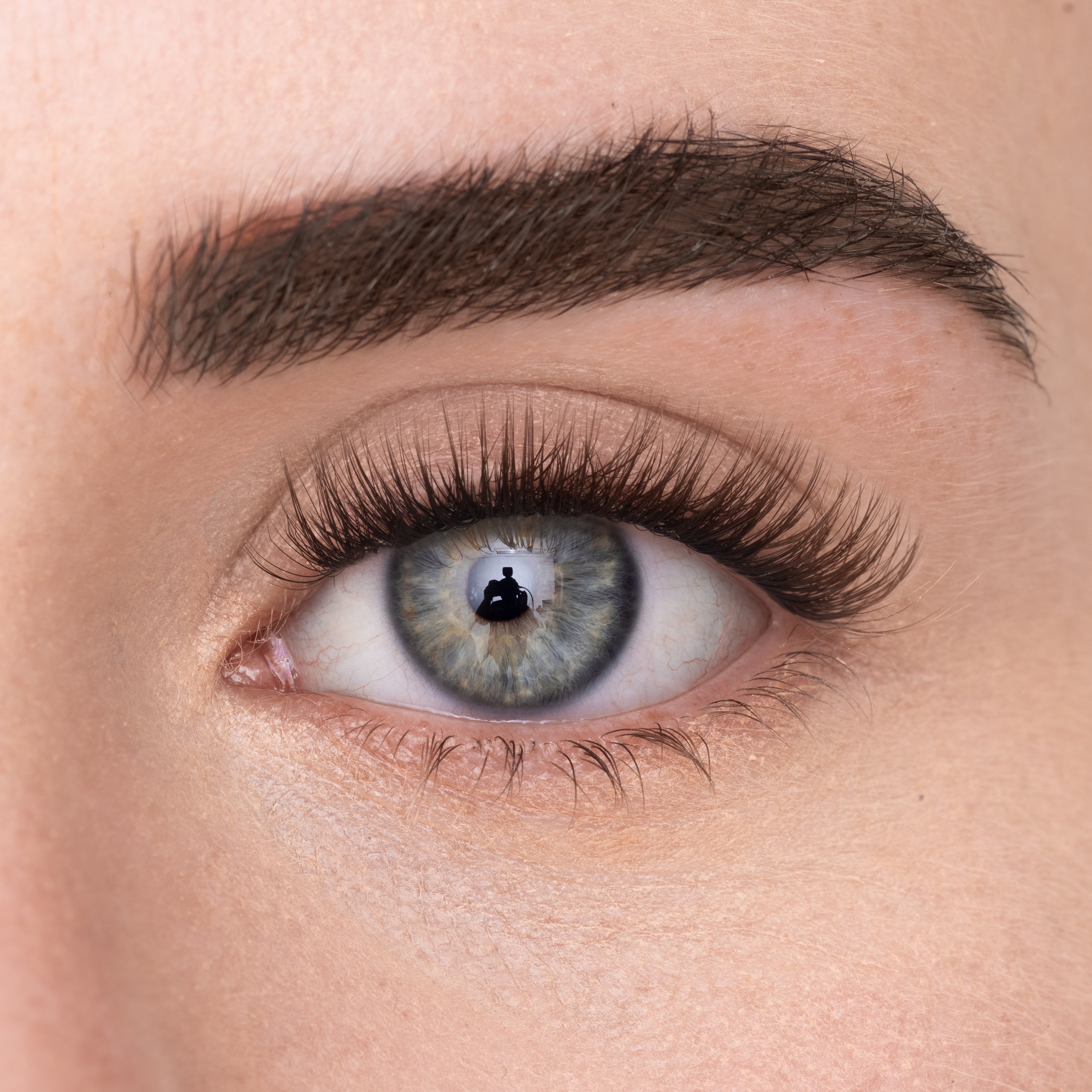 
            
              COSY LASH - MAYSON Cosmetics
            
          